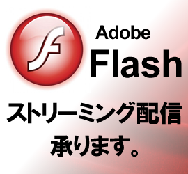 flash streaming